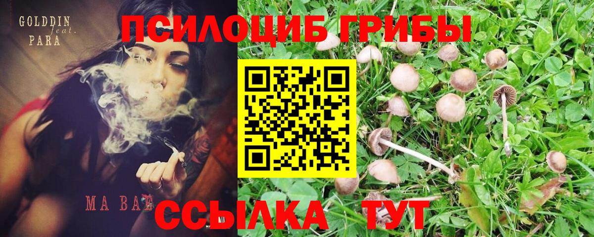 Нефтекумск  Псилоцибиновые грибы мухоморы  Галлюциногенные грибы мухоморы  Вход с VPN 