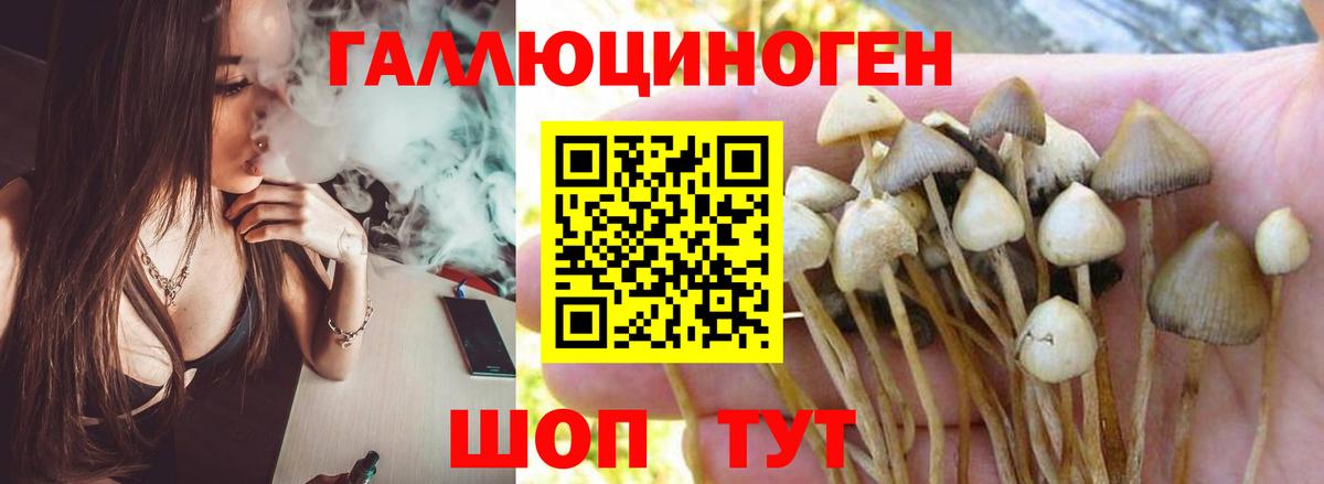 Галлюциногенные грибы Magic Shrooms Нефтекумск